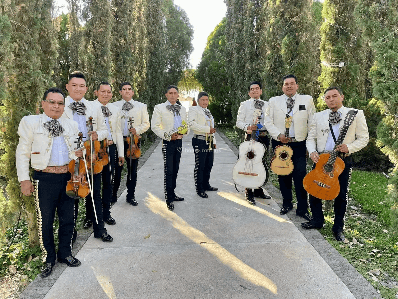Mariachi Nuevo Tecalitlán
